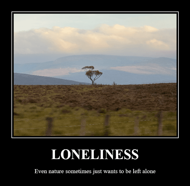 Demotivational poster showing a lone tree in an open field under cloudy skies with mountains in the distance. The caption reads: 'LONELINESS – Even nature sometimes just wants to be left alone'